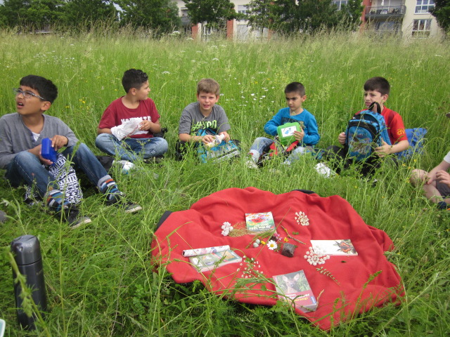 Wiesenpicknick